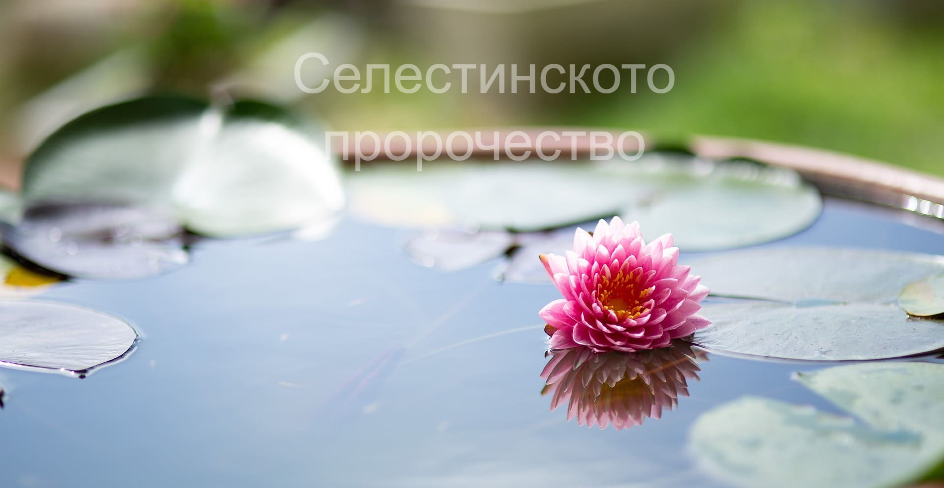 Selestinskoto prorochestwo